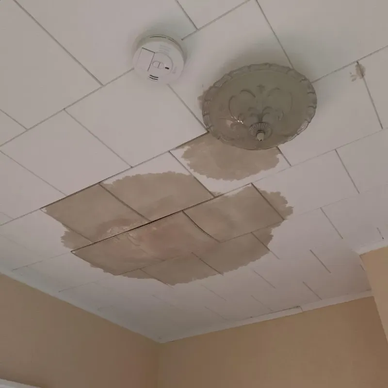 Ceiling Water Damage Repair in Nelson, NE