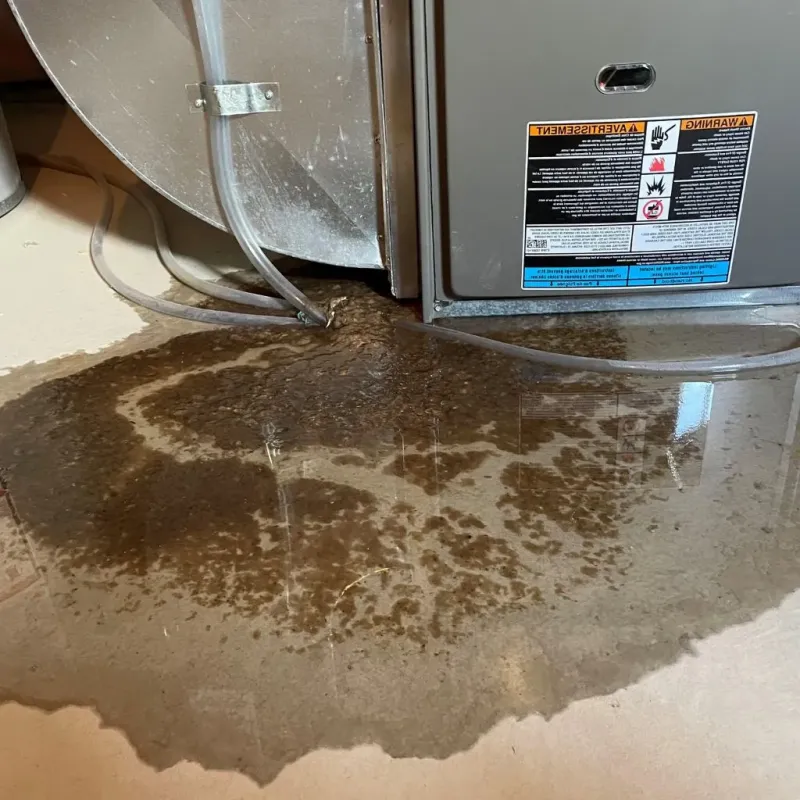 Pipe Burst and Leak Restoration in Nelson, NE