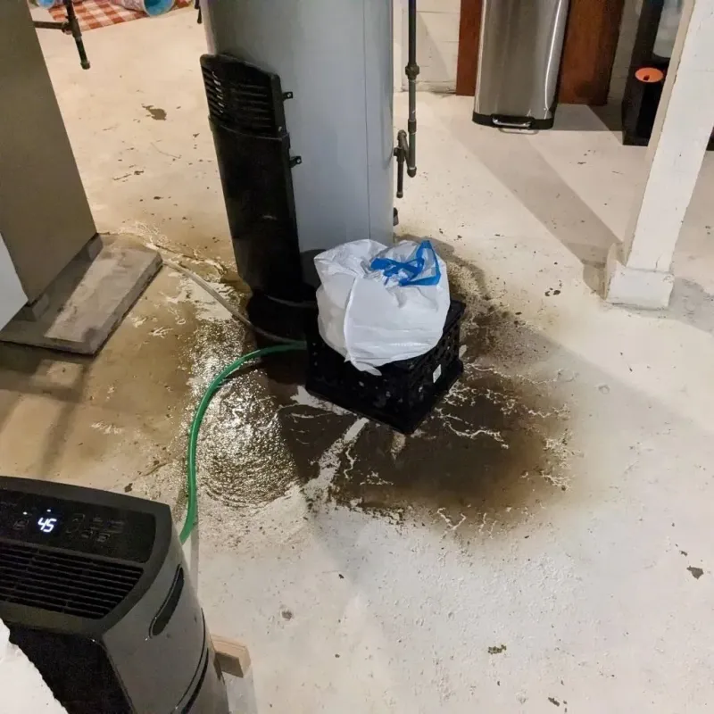 Sewage Backup Cleanup Service in Nelson, NE